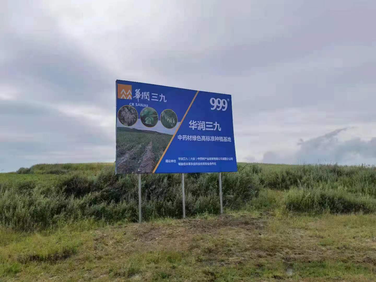 20250303-101453.jpg